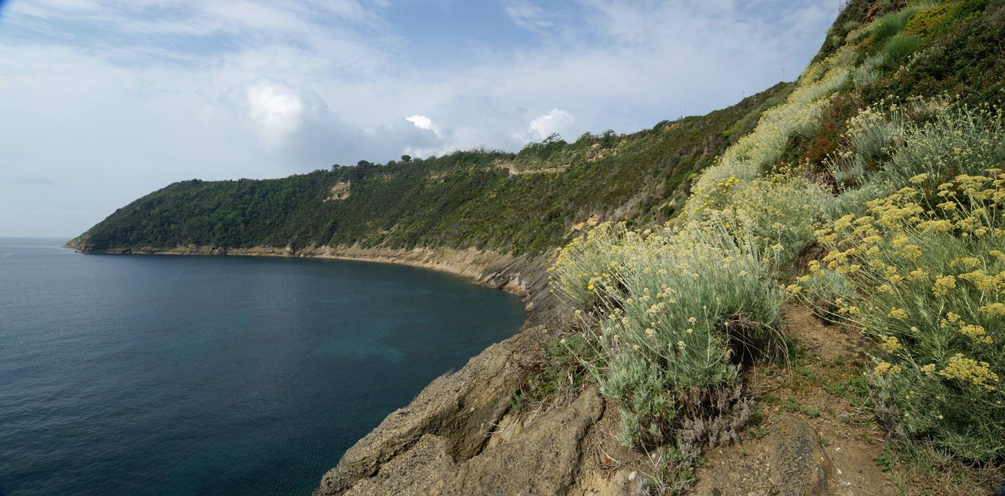 Ecosistema Vivara, “riflettori” sull’isola riaperta alle visite 