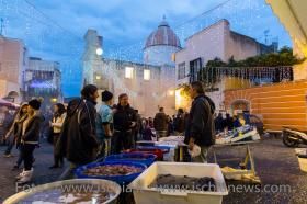 Vigilia di Natale e mercato del pesce a Forio isola d'Ischia