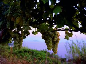 cantine-pietratorcia