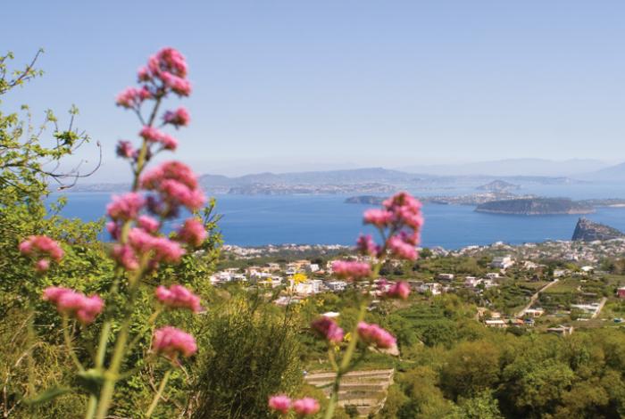 Panorama_sul_golfo_dalla_tenuta_del_cannavale